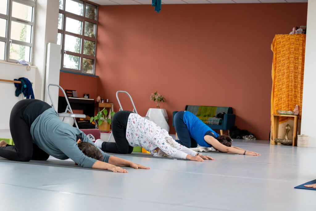 TERRA DANSA (167 sur 244)