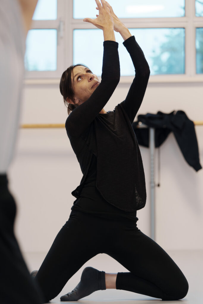 TERRA DANSA (90 sur 244)